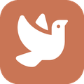 LIBRO Nest